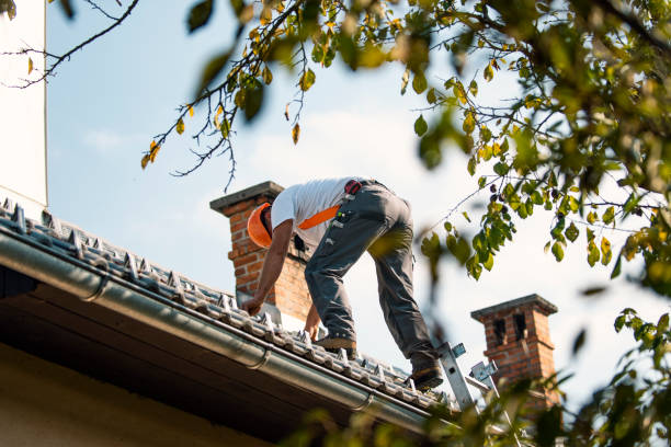 Hot Roofs